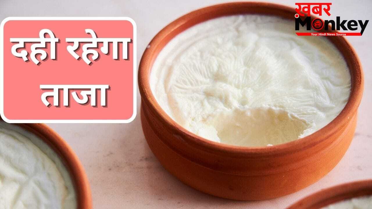 2 दिन बाद भी दही नहीं होगा खट्टा, बस फॉलो कर लें ये आसान से तरीके