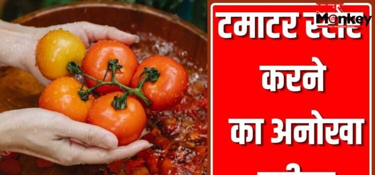 महिला ने टमाटर स्टोर करने का बताया ऐसा गजब तरीका, कई महीने नहीं होंगे खराब!