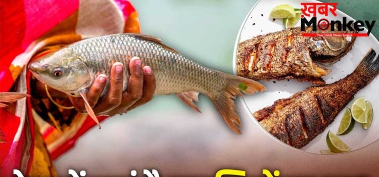 Fish: न पश्चिम बंगाल, न ओडिशा, देश को सबसे ज्यादा मछली देने वाला राज्य कौन सा? अमेरिका तक डिमांड