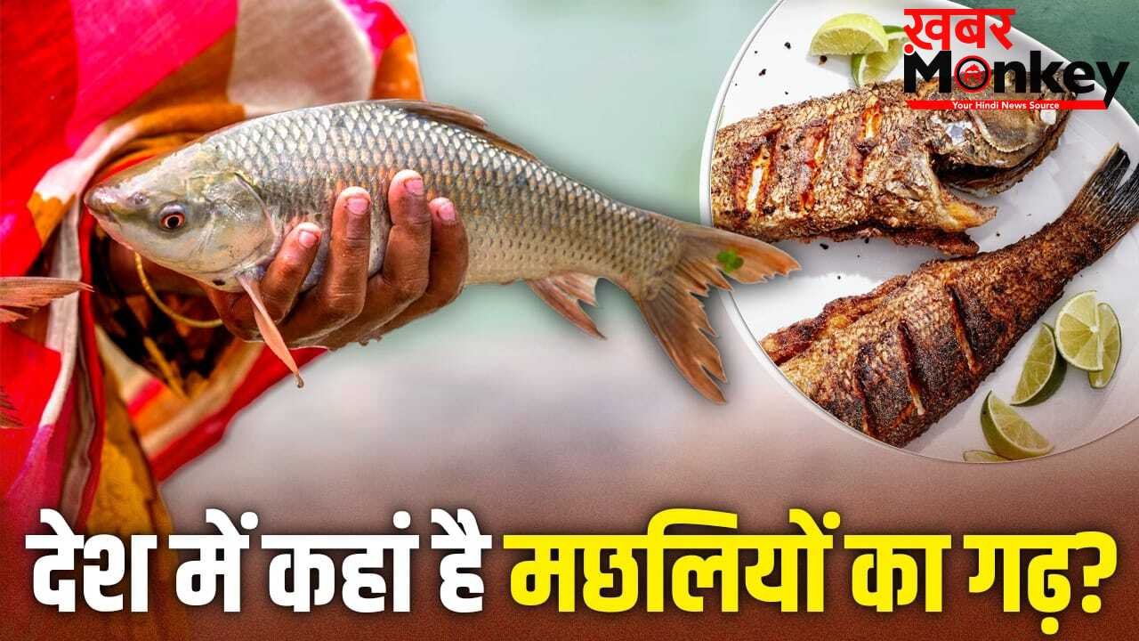 Fish: न पश्चिम बंगाल, न ओडिशा, देश को सबसे ज्यादा मछली देने वाला राज्य कौन सा? अमेरिका तक डिमांड