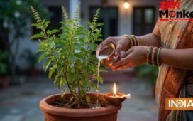 Adhik Maas Tulsi Pujan: अधिक मास में तुलसी में चढ़ा दें यह एक चीज, खिंचा चला आएगा पैसा!