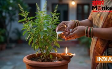 Adhik Maas Tulsi Pujan: अधिक मास में तुलसी में चढ़ा दें यह एक चीज, खिंचा चला आएगा पैसा!