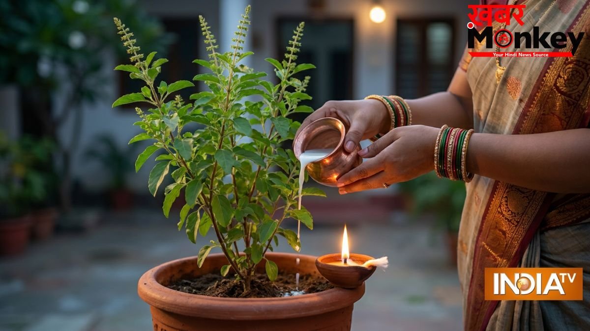 Adhik Maas Tulsi Pujan: अधिक मास में तुलसी में चढ़ा दें यह एक चीज, खिंचा चला आएगा पैसा!