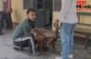UP में बकरीद से पहले बीमार हो रहे बकरे, पशु अस्पतालों में इलाज कराने पहुंच रहे लोग; आखिर क्या है वजह? UP में बकरीद से पहले बीमार हो रहे बकरे, पशु अस्पतालों में इलाज कराने पहुंच रहे लोग; आखिर क्या है वजह?