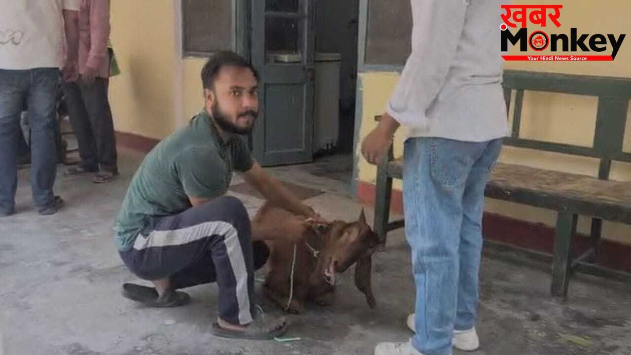 UP में बकरीद से पहले बीमार हो रहे बकरे, पशु अस्पतालों में इलाज कराने पहुंच रहे लोग; आखिर क्या है वजह?