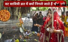 वट सावित्री व्रत में बिना चबाए क्यों निगले जाते हैं कच्चे चने? जानिए इस पूजा में भीगे चने का महत्व और रहस्य