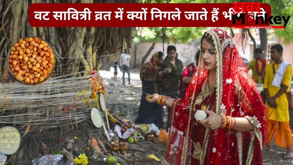 वट सावित्री व्रत में बिना चबाए क्यों निगले जाते हैं कच्चे चने? जानिए इस पूजा में भीगे चने का महत्व और रहस्य
