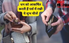 पर्स में पैसों के अलावा रखें ये शुभ चीजें, धन लाभ और बरकत के खुलेंगे रास्ते