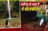 Waterfall Near Chandigarh: चंडीगढ़ से सिर्फ 1-2 घंटे की दूरी पर हैं ये 5 खूबसूरत वॉटरफॉल, नजारे जीत लेंगे दिल