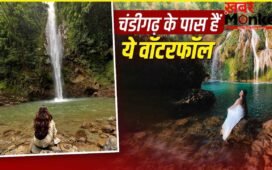 Waterfall Near Chandigarh: चंदीगढ़ से सिर्फ 1-2 घंटे की दूरी पर हैं ये 5 खूबसूरत वॉटरफॉल, नजारे जीत लेंगे दिल