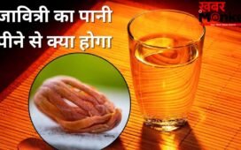 जावित्री का छोटा सा टुकड़ा पानी में डालकर पीने से क्या होता है? जानें ये जरूरी बातें