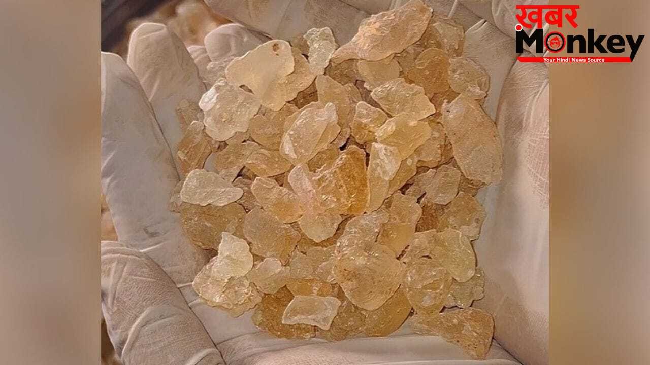 गर्मी के सुपरफूड गोंद कतीरा को भिगोकर ही क्यों इस्तेमाल में लिया जाता हैं? जानें कारण