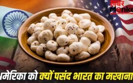 Makhana: अमेरिका भारतीय मखानों का सबसे बड़ा खरीदार क्यों? 5 बड़ी वजह