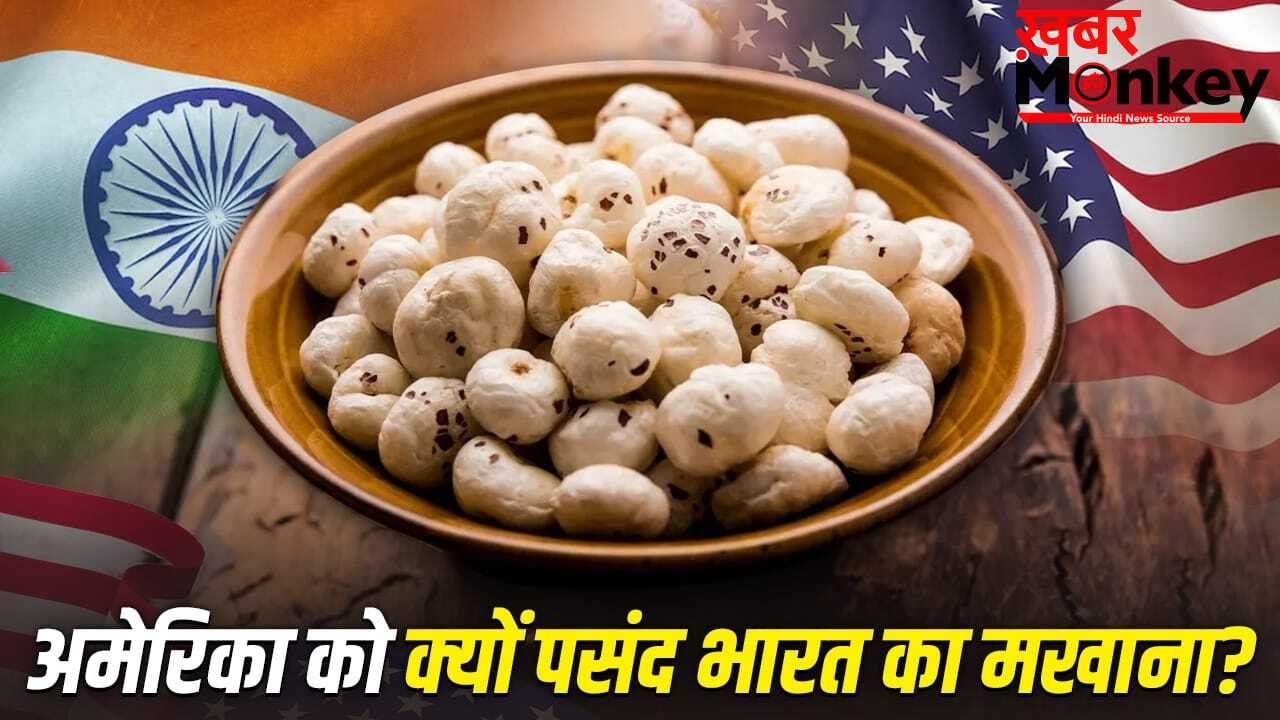 Makhana: अमेरिका भारतीय मखानों का सबसे बड़ा खरीदार क्यों? 5 बड़ी वजह