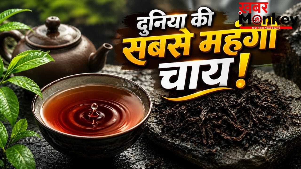 इस चाय की कीमत में आ जाएंगी कई लग्जरी गाड़ियां! 9 करोड़ रुपये है 1 किलो का भाव, क्या है इसमें खास?