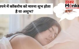 Cockroach Dream Meaning: सपने में बार-बार कॉकरोच देखना किस बात का संकेत होता है? जानें जीवन पर इसका प्रभाव