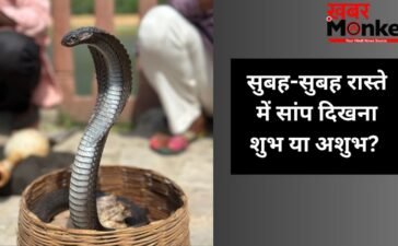सुबह-सुबह जब अचानक रास्ते में दिख जाए सांप, तो इसका क्या मतलब होता है? जानें इसके पीछे के छिपे बड़े संकेत सुबह-सुबह जब अचानक रास्ते में दिख जाए सांप, तो इसका क्या मतलब होता है? जानें इसके पीछे के छिपे बड़े संकेत