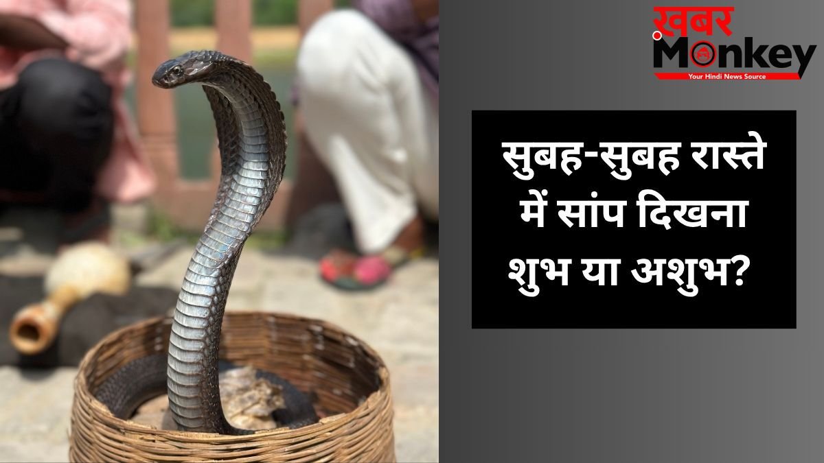 सुबह-सुबह जब अचानक रास्ते में दिख जाए सांप, तो इसका क्या मतलब होता है? जानें इसके पीछे के छिपे बड़े संकेत