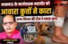 लखनऊ के कार्यवाहक महापौर को आवारा कुत्तों ने काटा, नगर निगम की टीम ने पकड़ा कुत्ता