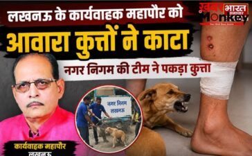 लखनऊ के कार्यवाहक महापौर को आवारा कुत्तों ने काटा, नगर निगम की टीम ने पकड़ा कुत्ता लखनऊ के कार्यवाहक महापौर को आवारा कुत्तों ने काटा, नगर निगम की टीम ने पकड़ा कुत्ता