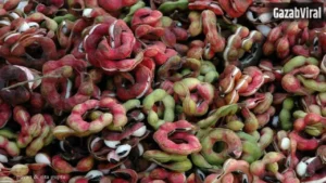 Jungle Jalebi Benefits: स्वाद और सेहत का खजाना है जंगल जलेबी, यहां जानिए इसके फायदे​