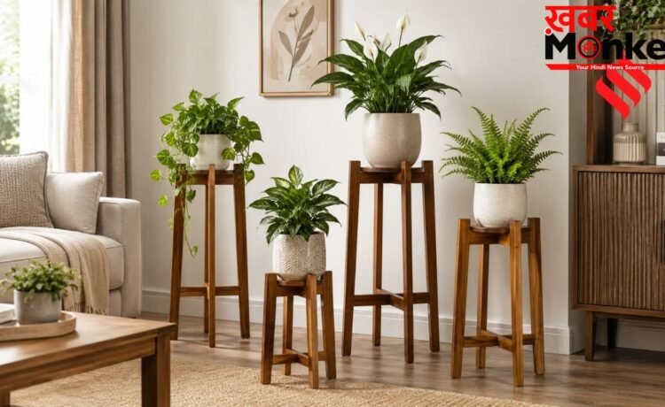 लिविंग रूम को ऐसा सजाएं कि देखने वाला तारीफ करते न थके, इन वूडन प्लांट स्टैंड्स से दें नेचुरल लुक