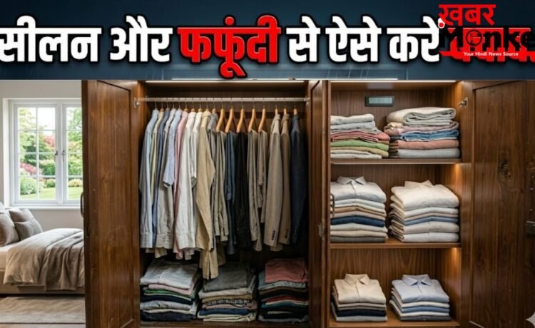 मानसून आने से पहले ही अलमारी में रख दें ये चीजें, नहीं लगेगी फफूंदी