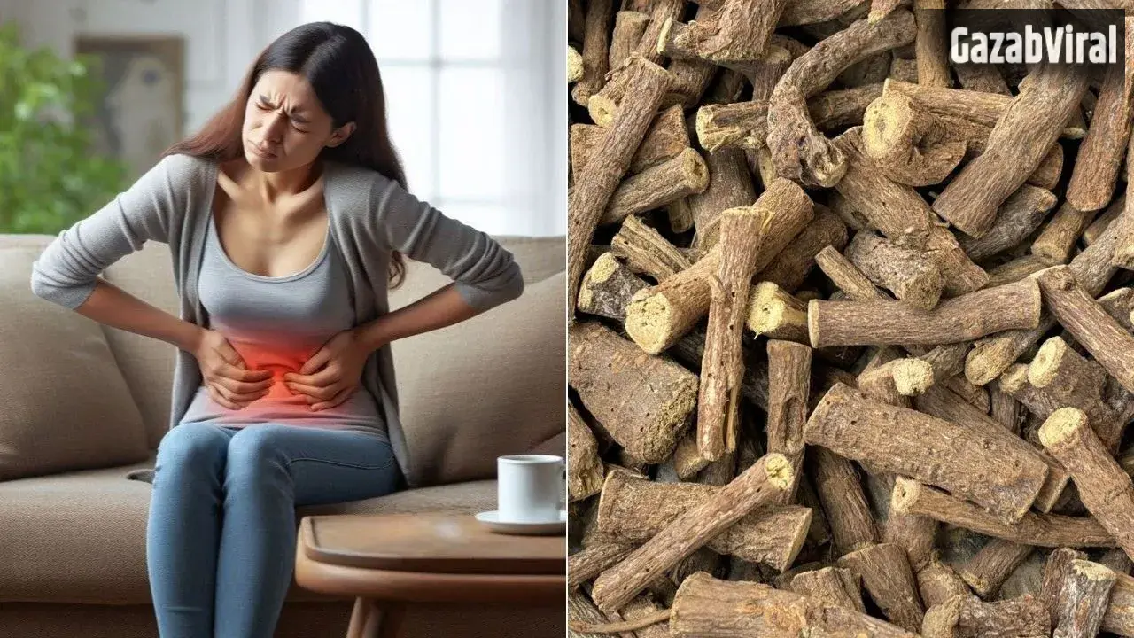 Mulethi For PCOS: अनियमित पीरियड्स से परेशान महिलाओं के लिए फायदेमंद है मुलेठी, जानें इसके लाभ​