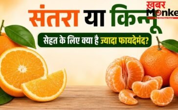 संतरा बनाम किन्नू: दोनों में क्या है अंतर और किसमें विटामिन सी होता है अधिक? जानें विशेषज्ञ का जवाब | Orange vs Kinnow