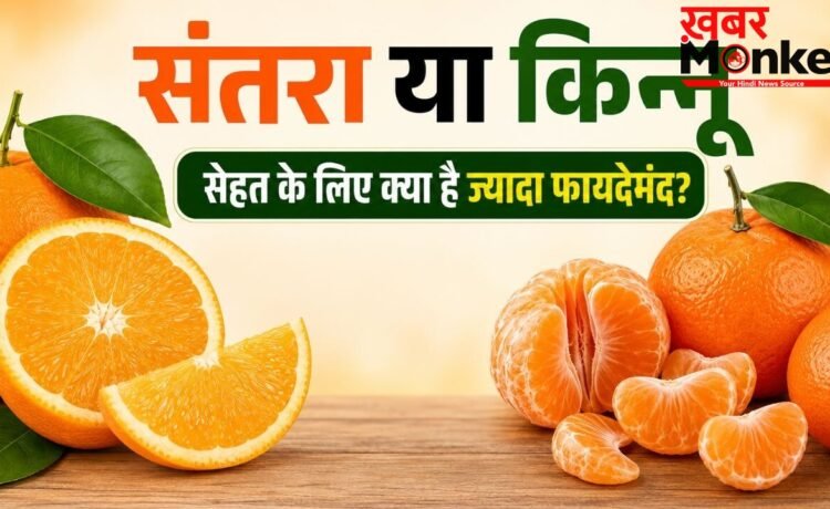संतरा बनाम किन्नू: दोनों में क्या है अंतर और किसमें विटामिन सी होता है अधिक? जानें विशेषज्ञ का जवाब | Orange vs Kinnow