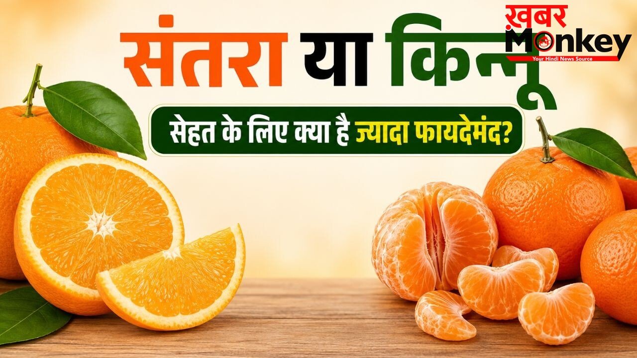 संतरा बनाम किन्नू: दोनों में क्या है अंतर और किसमें विटामिन सी होता है अधिक? जानें विशेषज्ञ का जवाब | Orange vs Kinnow