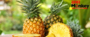 Pineapple Benefits: विटामिन C से भरपूर अनानास के हैं कई जबरदस्त लाभ, जानें इसके 5 बड़े फायदे