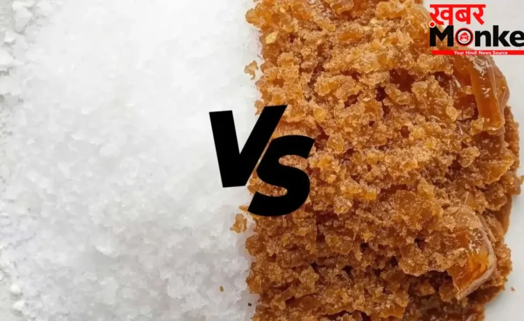 Sugar vs Jaggery: चीनी और गुड़ में कौन है ज्यादा हेल्दी? एक्सपर्ट से जानिए सच