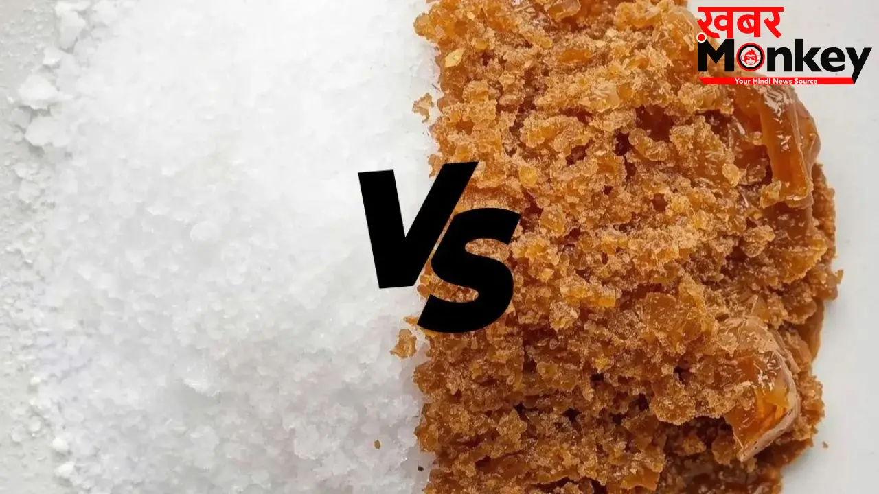 Sugar vs Jaggery: चीनी और गुड़ में कौन है ज्यादा हेल्दी? एक्सपर्ट से जानिए सच