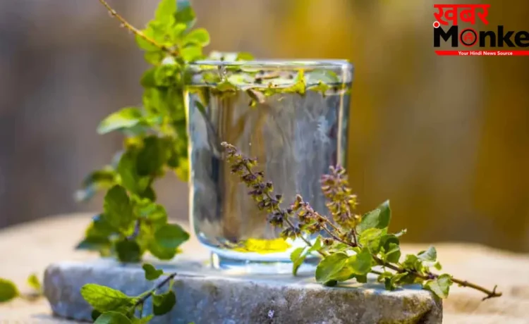 Tulsi Water Benefits: तुलसी का पानी पीने से मिलते हैं सेहत को ढेरों फायदे, यहां जानिए Tulsi Water Benefits: तुलसी का पानी पीने से मिलते हैं सेहत को ढेरों फायदे, यहां जानिए