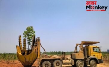 कोयले की खदान बनी ‘हरे-भरे जंगल’ अदाणी ग्रुप ने सरगुजा में लगाए 16 लाख से ज्यादा पेड़