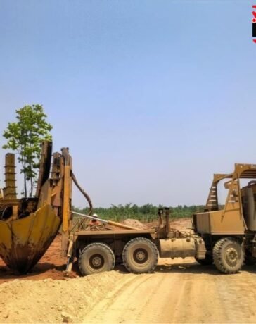 कोयले की खदान बनी ‘हरे-भरे जंगल’ अदाणी ग्रुप ने सरगुजा में लगाए 16 लाख से ज्यादा पेड़