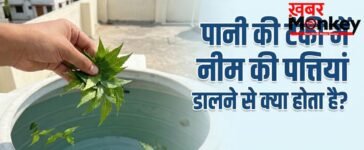 पानी की टंकी में नीम की पत्तियां डालने से क्या होता है?