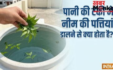 पानी की टंकी में नीम की पत्तियां डालने से क्या होता है?