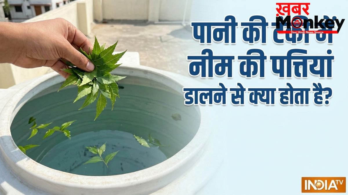 पानी की टंकी में नीम की पत्तियां डालने से क्या होता है?