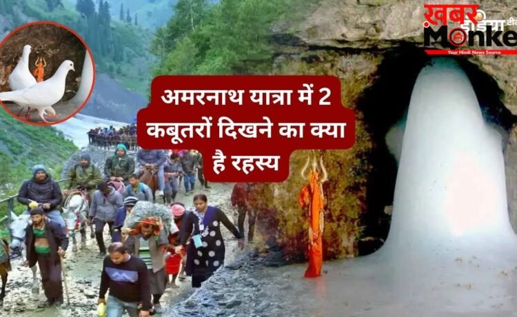 क्‍या है अमरनाथ गुफा में दो कबूतरों का रहस्‍य, जिसे भी दिख जाए जीवन हो जाता है धन्य, मिलता है मोक्ष का आशीर्वाद