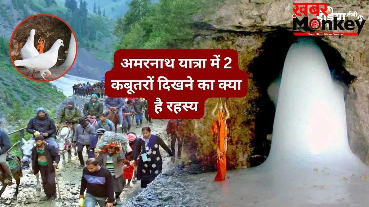 क्‍या है अमरनाथ गुफा में दो कबूतरों का रहस्‍य, जिसे भी दिख जाए जीवन हो जाता है धन्य, मिलता है मोक्ष का आशीर्वाद