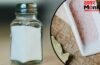Best Salt For Health: क्या सफेद से बेहतर होता है काला नमक? एक्सपर्ट ने बताया