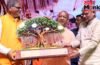 World Environment Day: जुलाई में एक दिन में लगेंगे 35 करोड़ पौधे…विश्व पर्यावरण दिवस पर सीएम योगी के 5 संकल्प