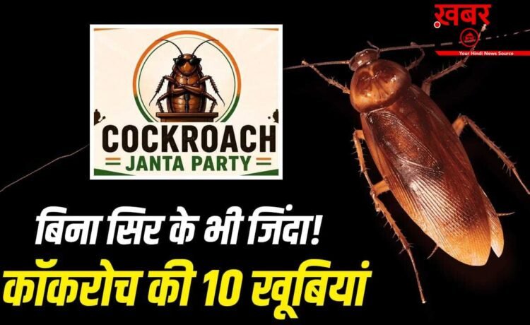न खाना, न पानी, न सिर, फिर भी जिंदा! जानें कॉकरोच की 10 खूबियां, दिल्ली में CJP के प्रदर्शन से चर्चा में