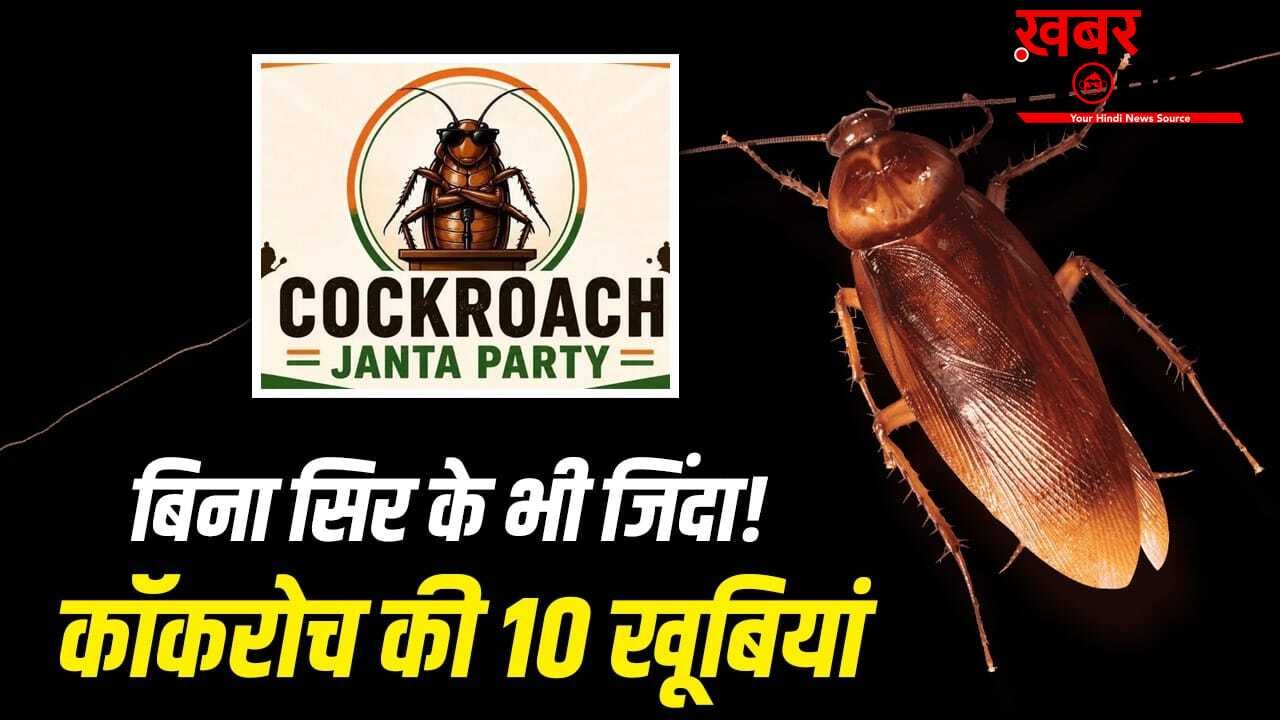 न खाना, न पानी, न सिर, फिर भी जिंदा! जानें कॉकरोच की 10 खूबियां, दिल्ली में CJP के प्रदर्शन से चर्चा में