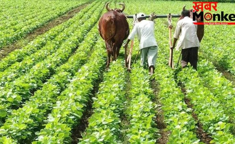 खेतों में बारिश और समंदर में तनाव! 3 लाख करोड़ की मानसून इकोनॉमी और होमुर्ज का नया संकट