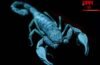 June 2026 Scorpio Horoscope: मंगल बदलेंगे आपकी Destiny, महीने में मिलेंगी कई Good News