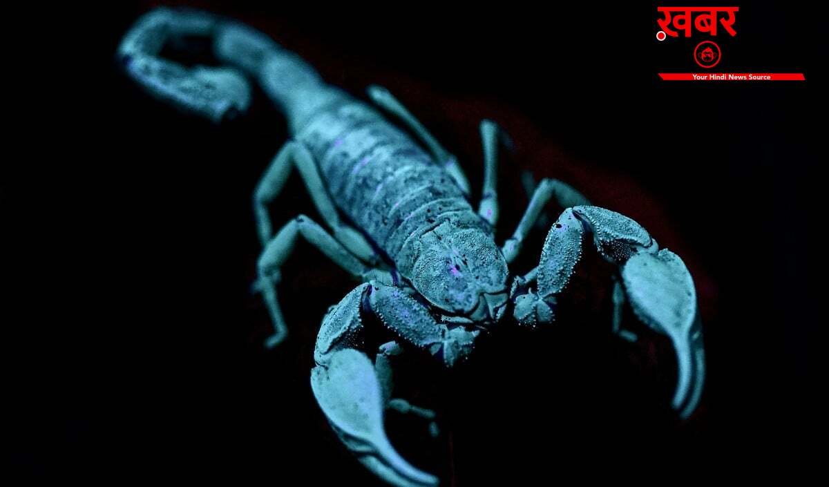 June 2026 Scorpio Horoscope: मंगल बदलेंगे आपकी Destiny, महीने में मिलेंगी कई Good News
