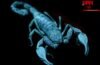 June 2026 Scorpio Horoscope: मंगल बदलेंगे आपकी Destiny, महीने में मिलेंगी कई Good News. June 2026 Scorpio Horoscope: मंगल बदलेंगे आपकी Destiny, महीने में मिलेंगी कई Good News.